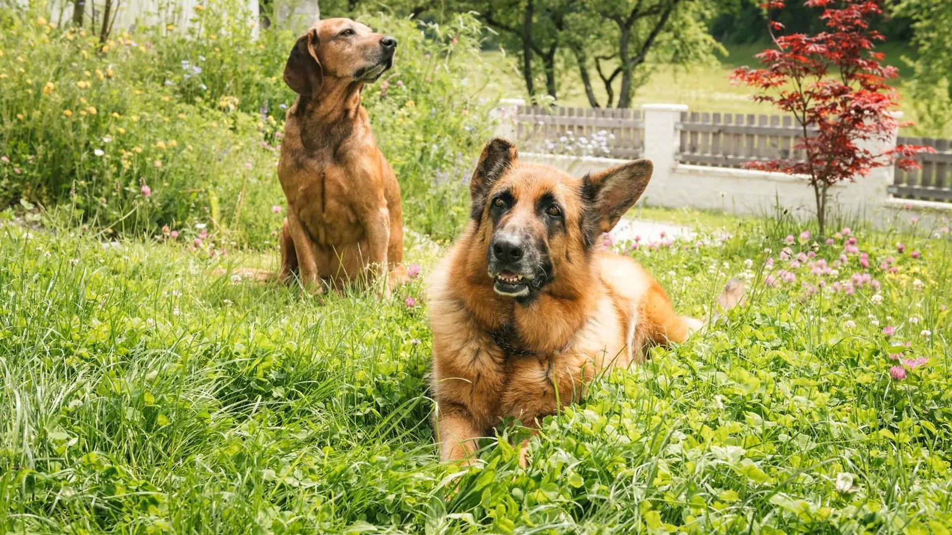 Edenhauserhof Neu Gotzens